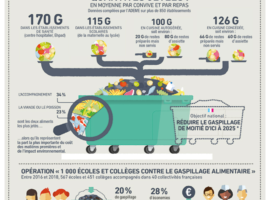 Comment réduire le gaspillage alimentaire en restauration collective ?
